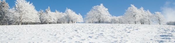 winter, snow, white Wallpaper 1590x400