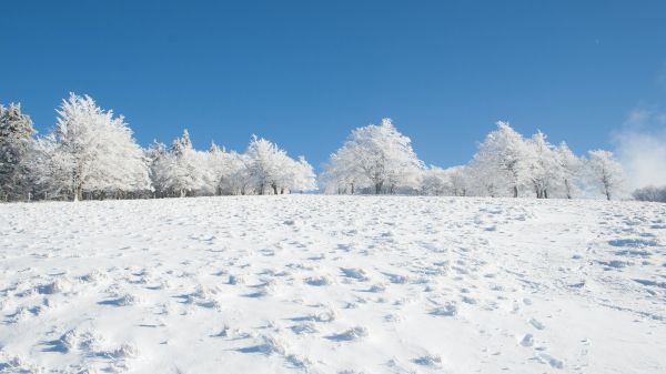 winter, snow, white Wallpaper 2048x1152