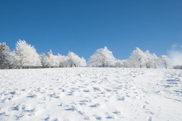winter, snow, white Wallpaper 3000x2000