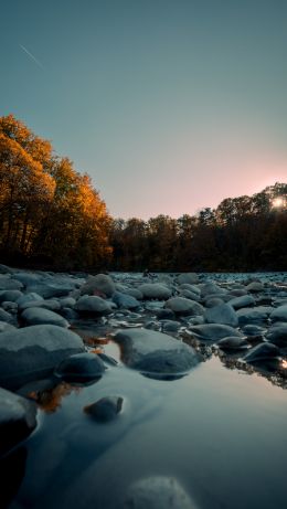 stones, forest, water Wallpaper 640x1136