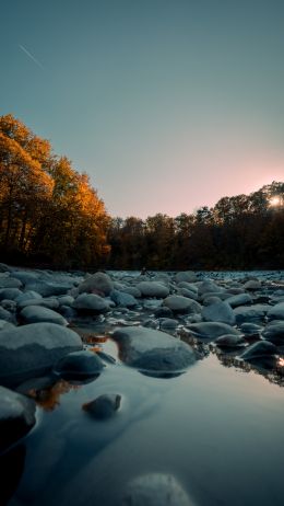 stones, forest, water Wallpaper 2160x3840