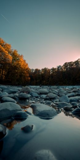 stones, forest, water Wallpaper 720x1440