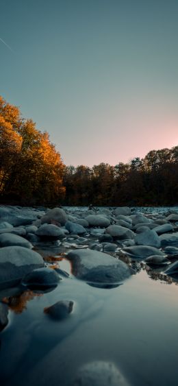 stones, forest, water Wallpaper 1080x2340