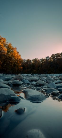 stones, forest, water Wallpaper 1440x3200