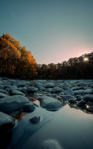 stones, forest, water Wallpaper 1752x2800