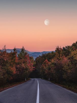 road, forest, evening Wallpaper 1620x2160