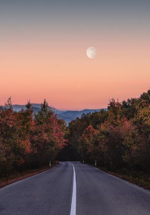 road, forest, evening Wallpaper 1668x2388