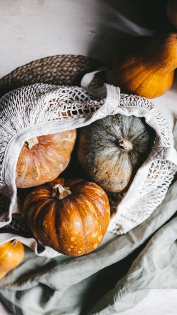 pumpkin, autumn Wallpaper 1080x1920