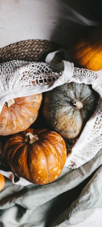 pumpkin, autumn Wallpaper 1080x2400