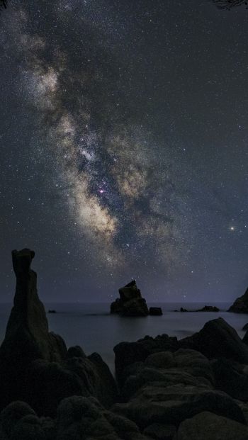 starry sky, night Wallpaper 640x1136
