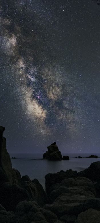 starry sky, night Wallpaper 1440x3200