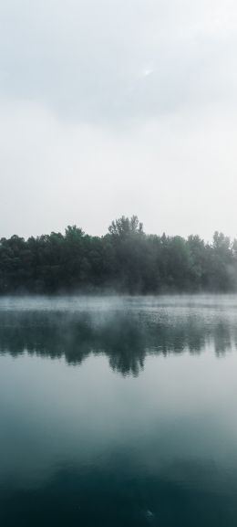 Обои 1080x2400 туман, озеро, лес