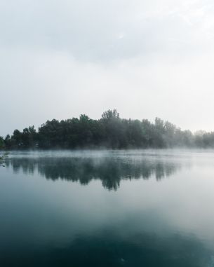 Обои 3948x4935 туман, озеро, лес