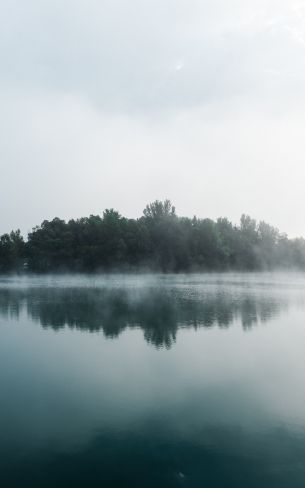 fog, lake, forest Wallpaper 1200x1920