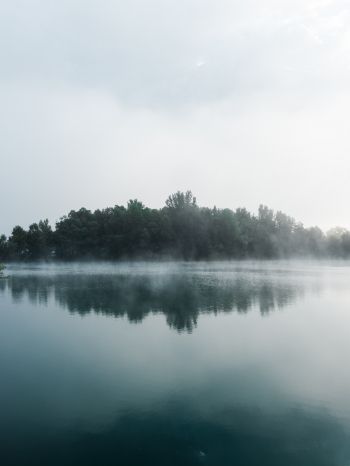 fog, lake, forest Wallpaper 1668x2224
