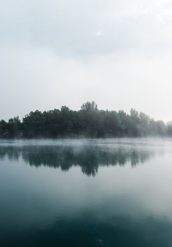 fog, lake, forest Wallpaper 1640x2360