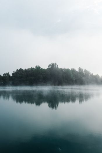 fog, lake, forest Wallpaper 640x960