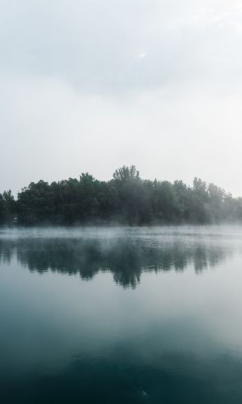 fog, lake, forest Wallpaper 1200x2000