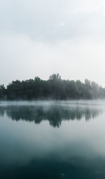 fog, lake, forest Wallpaper 600x1024