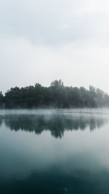 Обои 640x1136 туман, озеро, лес