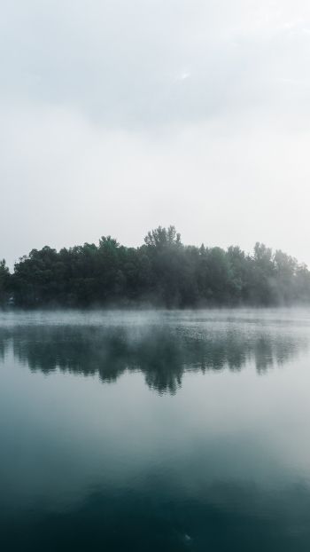 Обои 1080x1920 туман, озеро, лес