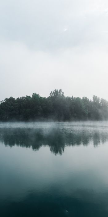 fog, lake, forest Wallpaper 720x1440
