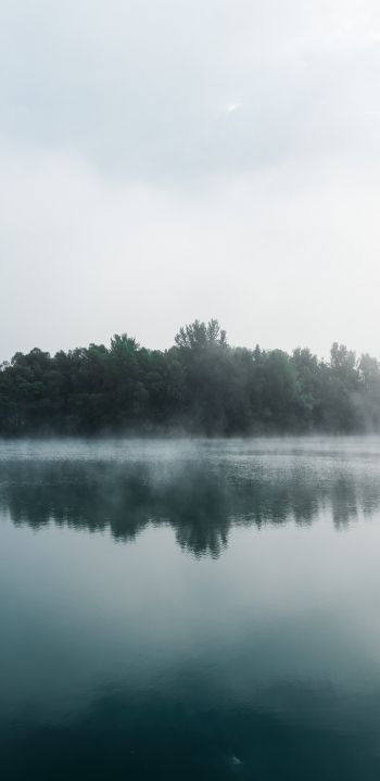Обои 1440x2960 туман, озеро, лес