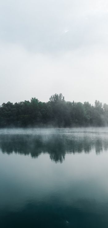 Обои 720x1520 туман, озеро, лес