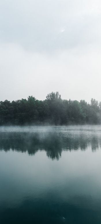 Обои 1440x3200 туман, озеро, лес