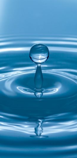 drop, water, blue Wallpaper 1080x2220