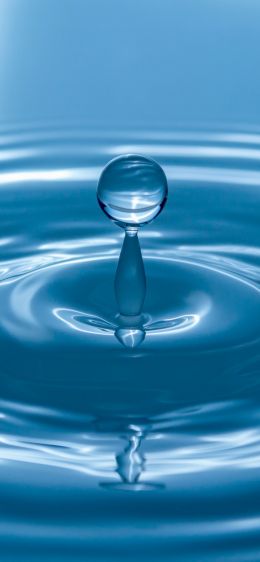 drop, water, blue Wallpaper 1125x2436