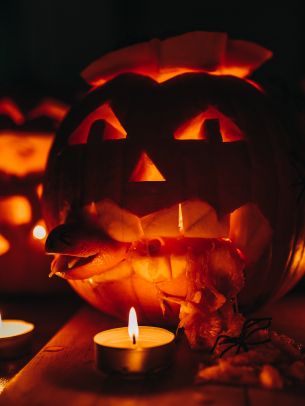 halloween, pumpkin, candles Wallpaper 1620x2160