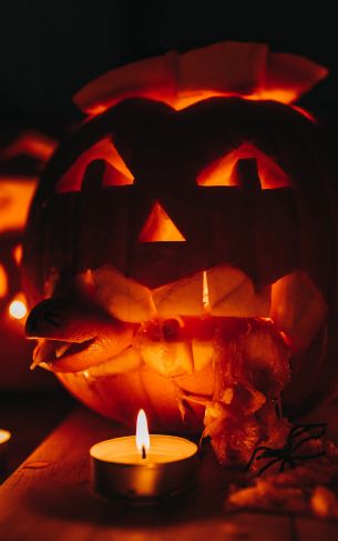 halloween, pumpkin, candles Wallpaper 1752x2800