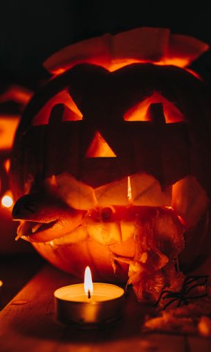 halloween, pumpkin, candles Wallpaper 1200x2000