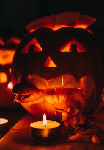 halloween, pumpkin, candles Wallpaper 1640x2360