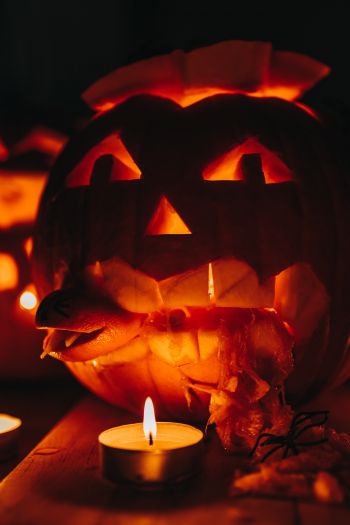 halloween, pumpkin, candles Wallpaper 640x960