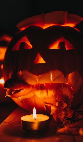 halloween, pumpkin, candles Wallpaper 600x1024