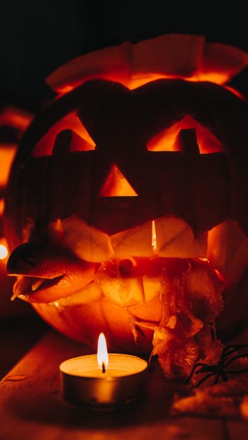 halloween, pumpkin, candles Wallpaper 750x1334