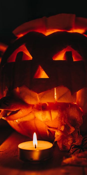 halloween, pumpkin, candles Wallpaper 720x1440