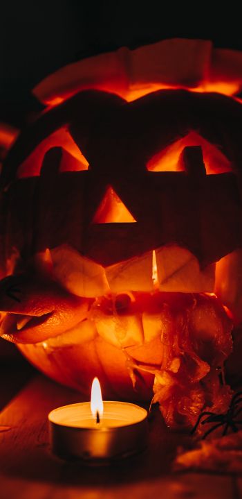 halloween, pumpkin, candles Wallpaper 1080x2220