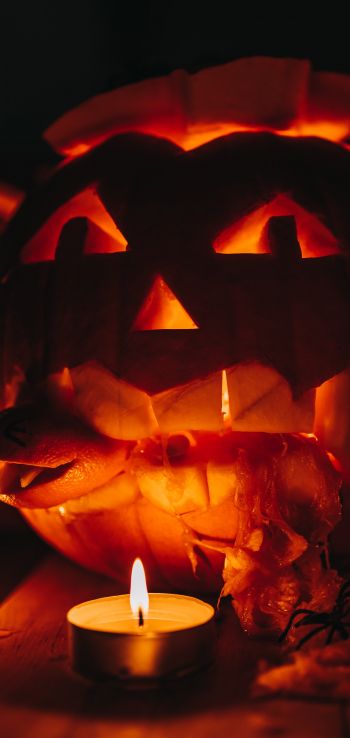 halloween, pumpkin, candles Wallpaper 1080x2280