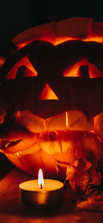 halloween, pumpkin, candles Wallpaper 1080x2340