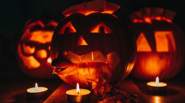 halloween, pumpkin, candles Wallpaper 1600x900