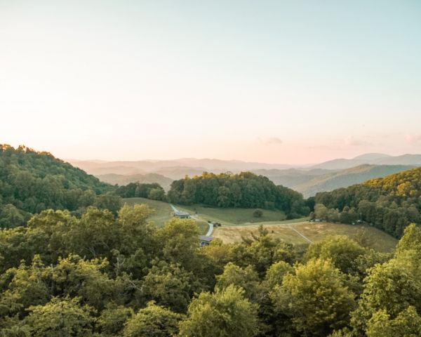 forest, green, landscape Wallpaper 1280x1024