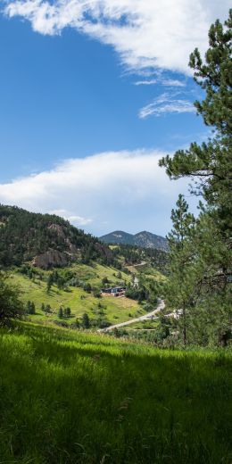 conifer, mountains Wallpaper 720x1440