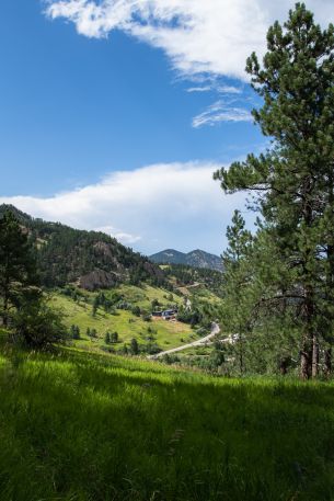 conifer, mountains Wallpaper 640x960