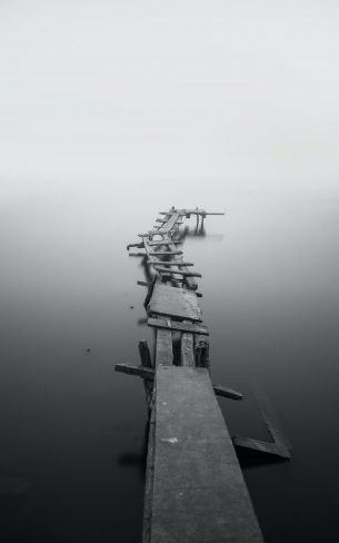 Обои 800x1280 озеро, мостки, туман