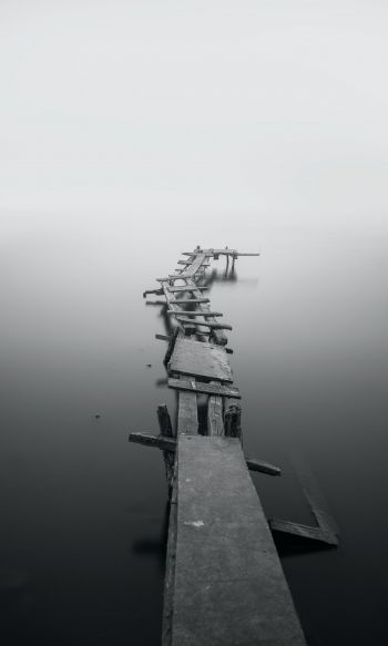 lake, bridges, fog Wallpaper 1200x2000
