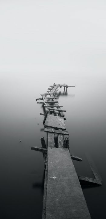 lake, bridges, fog Wallpaper 1080x2220