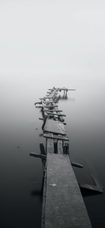 lake, bridges, fog Wallpaper 1170x2532